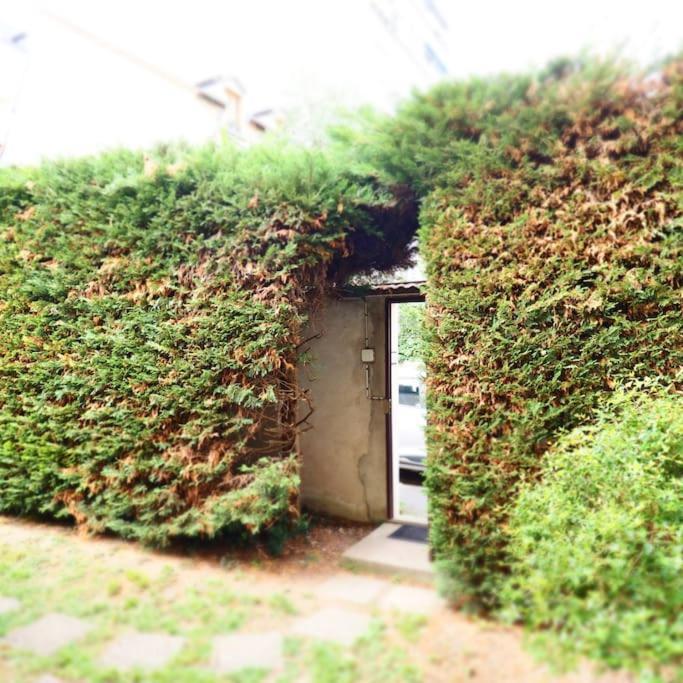 Maison Faure - Centre Ville - Jardin - Garage Vichy Luaran gambar